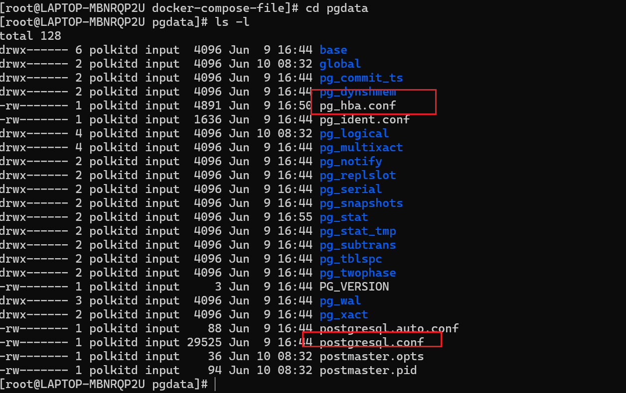 image-20250610084336393
